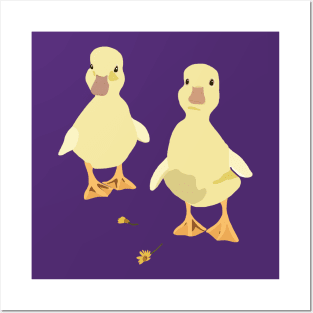 Ducklings Posters and Art